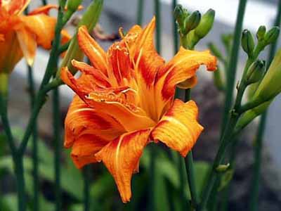 ���u�J���]�E